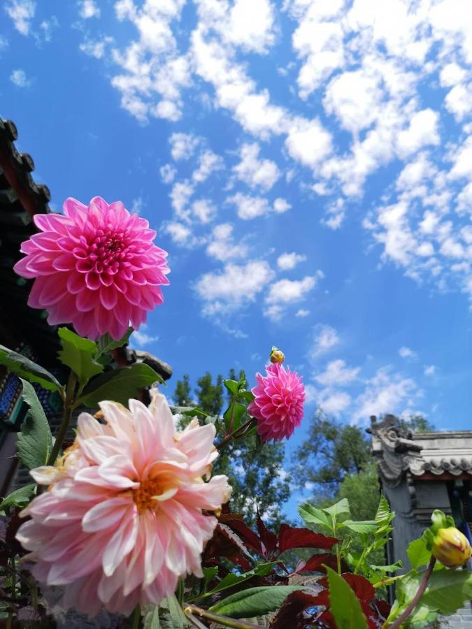 Chengde Kai Ren Hua Fu Inn Bi Shu Shan Zhuang Dian Esterno foto